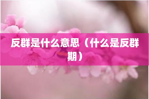 反群是什么意思（什么是反群期）