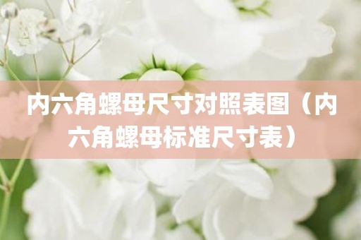 内六角螺母尺寸对照表图（内六角螺母标准尺寸表）