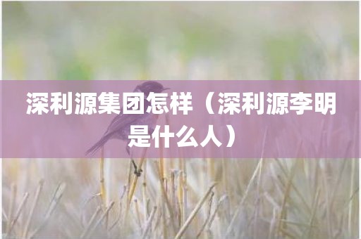 深利源集团怎样（深利源李明是什么人）