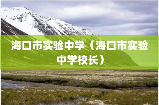 海口市实验中学（海口市实验中学校长）