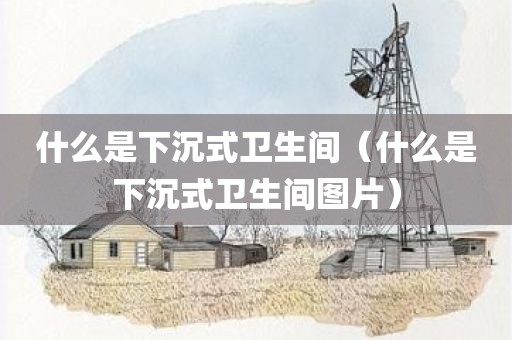 什么是下沉式卫生间（什么是下沉式卫生间图片）