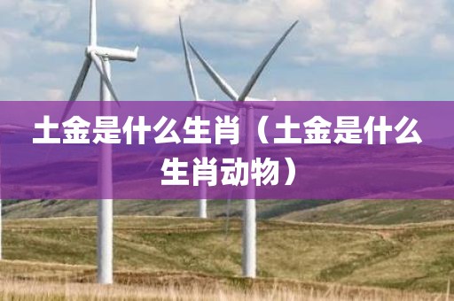 土金是什么生肖（土金是什么生肖动物）