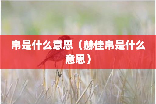 帛是什么意思（赫佳帛是什么意思）
