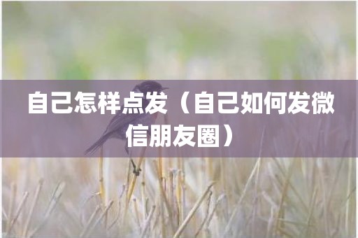 自己怎样点发（自己如何发微信朋友圈）
