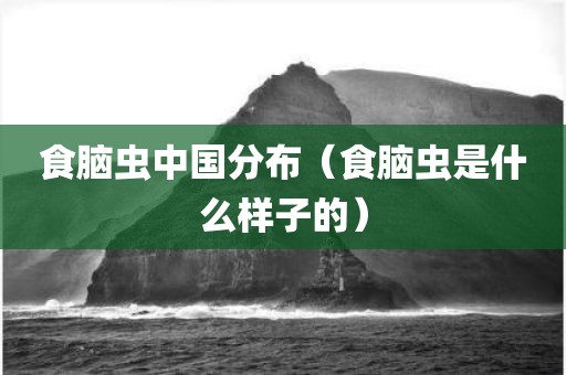 食脑虫中国分布（食脑虫是什么样子的）