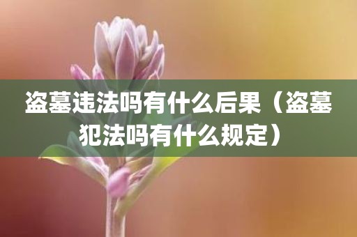 盗墓违法吗有什么后果(盗墓犯法吗有什么规定)