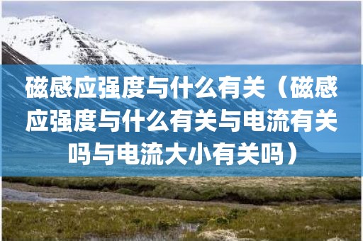 磁感应强度与什么有关（磁感应强度与什么有关与电流有关吗与电流大小有关吗）