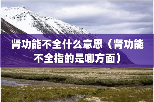 肾功能不全什么意思（肾功能不全指的是哪方面）