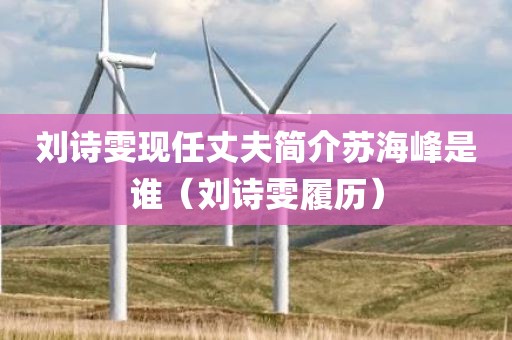 刘诗雯现任丈夫简介苏海峰是谁(刘诗雯履历)