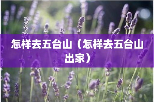 怎样去五台山（怎样去五台山出家）