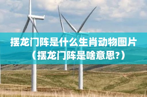 摆龙门阵是什么生肖动物图片（摆龙门阵是啥意思?）