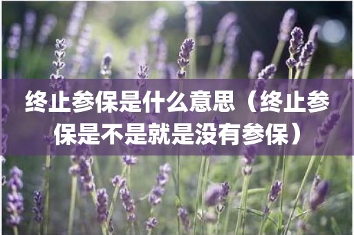 终止参保是什么意思（终止参保是不是就是没有参保）
