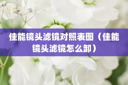 佳能镜头滤镜对照表图(佳能镜头滤镜怎么卸) 佳能镜头滤镜对照表图(佳能镜头滤镜怎么卸)