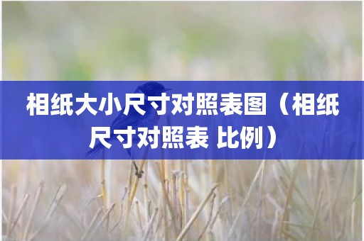相纸大小尺寸对照表图（相纸尺寸对照表 比例）