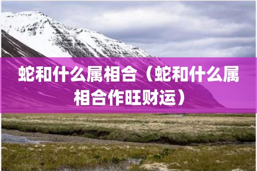 蛇和什么属相合（蛇和什么属相合作旺财运）
