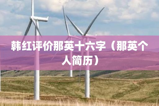 韩红评价那英十六字（那英个人简历）