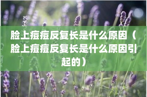 脸上痘痘反复长是什么原因（脸上痘痘反复长是什么原因引起的）