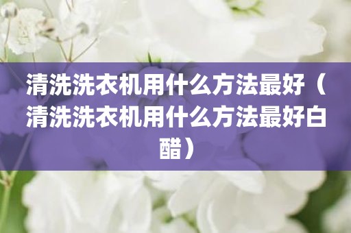 清洗洗衣机用什么方法最好（清洗洗衣机用什么方法最好白醋）