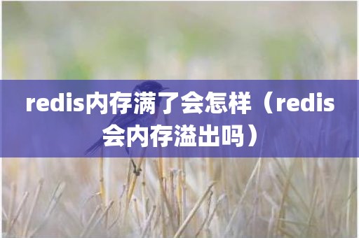 redis内存满了会怎样（redis会内存溢出吗）