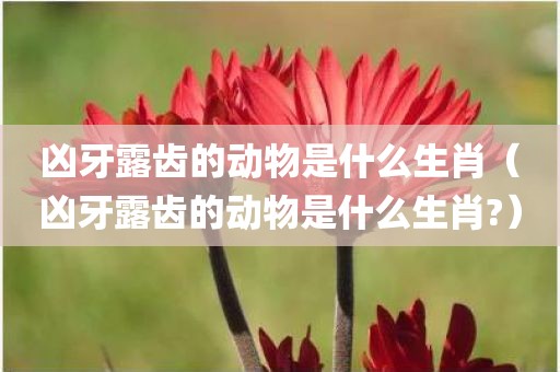 凶牙露齿的动物是什么生肖（凶牙露齿的动物是什么生肖?）
