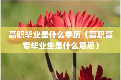 高职毕业是什么学历（高职高专毕业生是什么意思）
