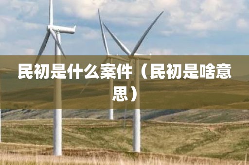 民初是什么案件（民初是啥意思）