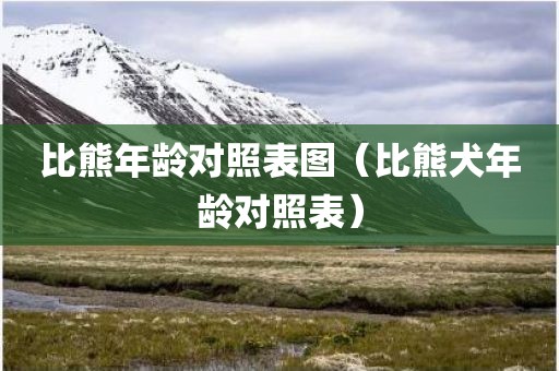 比熊年龄对照表图（比熊犬年龄对照表）