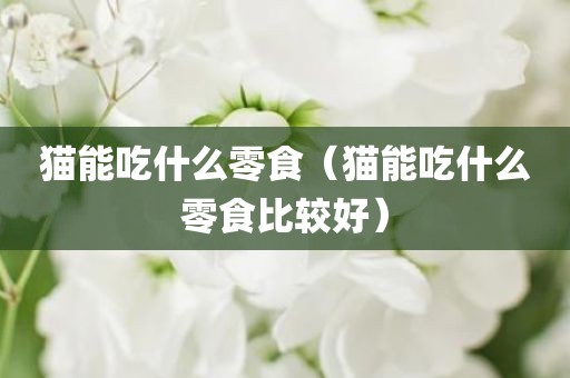 猫能吃什么零食（猫能吃什么零食比较好）