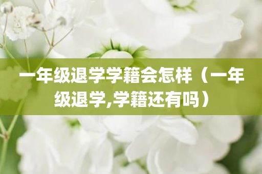 一年级退学学籍会怎样（一年级退学,学籍还有吗）