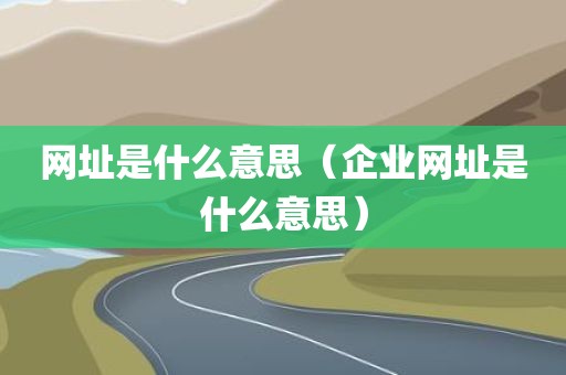 网址是什么意思（企业网址是什么意思）
