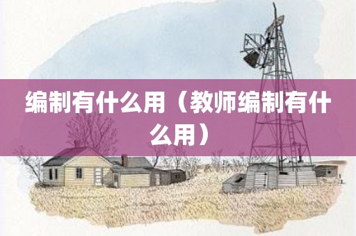 编制有什么用（教师编制有什么用）
