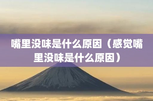 嘴里没味是什么原因（感觉嘴里没味是什么原因）