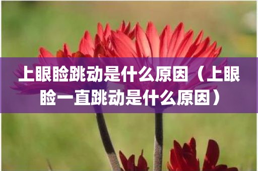 上眼睑跳动是什么原因（上眼睑一直跳动是什么原因）