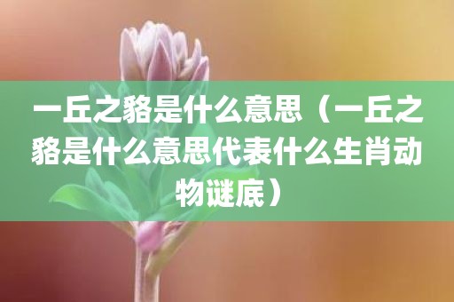 一丘之貉是什么意思（一丘之貉是什么意思代表什么生肖动物谜底）