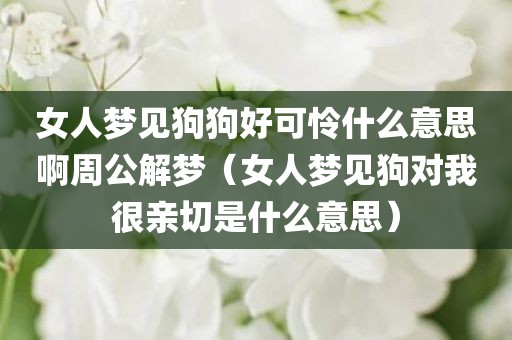 女人梦见狗狗好可怜什么意思啊周公解梦（女人梦见狗对我很亲切是什么意思）