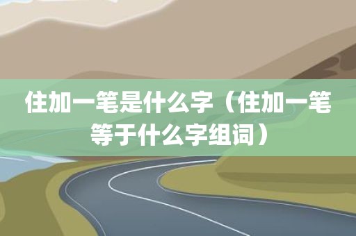 住加一笔是什么字(住加一笔等于什么字组词)