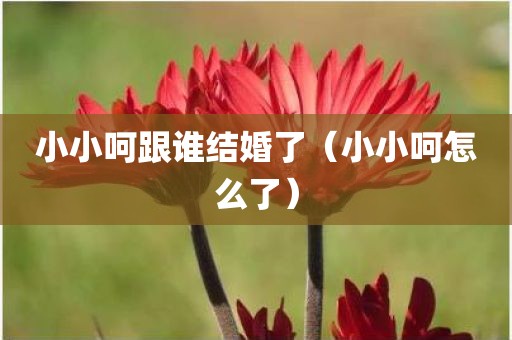 小小呵跟谁结婚了（小小呵怎么了）