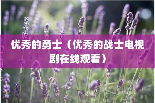 优秀的勇士（优秀的战士电视剧在线观看）