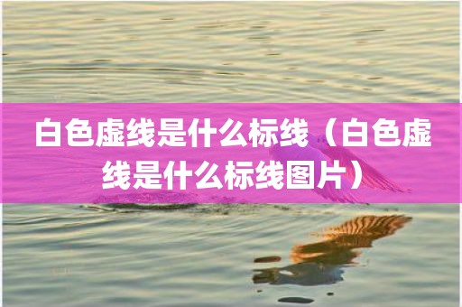 白色虚线是什么标线（白色虚线是什么标线图片）