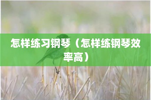 怎样练习钢琴（怎样练钢琴效率高）
