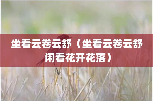 坐看云卷云舒(坐看云卷云舒 闲看花开花落)