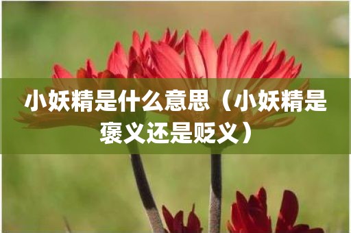 小妖精是什么意思（小妖精是褒义还是贬义）