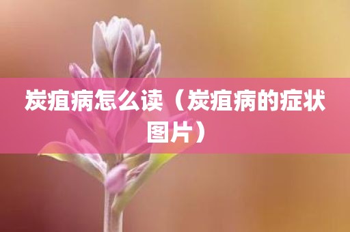 炭疽病怎么读（炭疽病的症状图片）