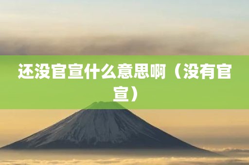 还没官宣什么意思啊(没有官宣)