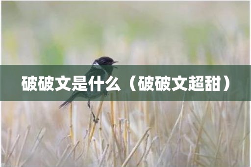 破破文是什么（破破文超甜）
