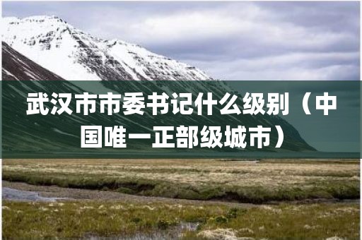 武汉市市委书记什么级别（中国唯一正部级城市）