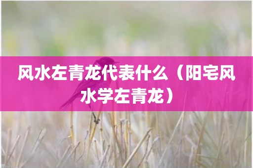 风水左青龙代表什么（阳宅风水学左青龙）
