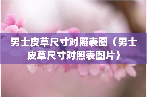 男士皮草尺寸对照表图（男士皮草尺寸对照表图片）