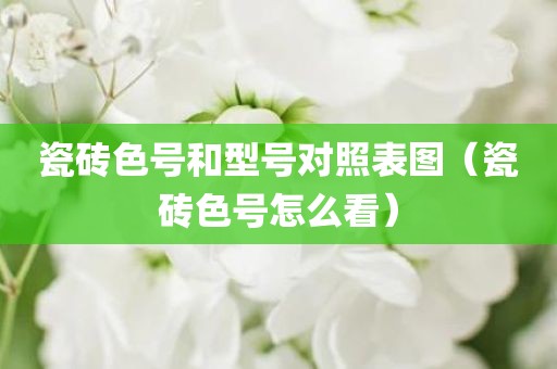 瓷砖色号和型号对照表图（瓷砖色号怎么看）