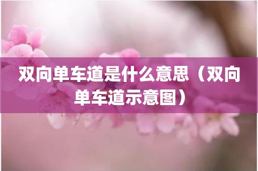 双向单车道是什么意思（双向单车道示意图）